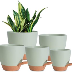 Vanslogreen Plant Pots Indoor 7/6.5/6/5.5/5 Inch Self Watering Planters for Indoor Plants with Drainage Hole, Plastic Flower Pots for Succulents, African Violet (Green)