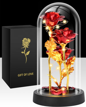 Tayfeim Valentines Day Rose Gifts for Her, Womens Gift for Birthday Gifts for Women Mom Wife Girlfriend, Light Up Rose in A Glass Dome, Rose Gifts for Valentines, Mothers Day, Womens Day (Red)