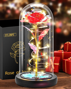 Otlonpe Preserved Forever Valentines Day Flower Gifts for Her, Glass Light Up Rose Gifts for Women Mom Grandma Girlfriend Wife Sister, Valentines Mothers Day Christmas Birthday Womens Gift (Red)