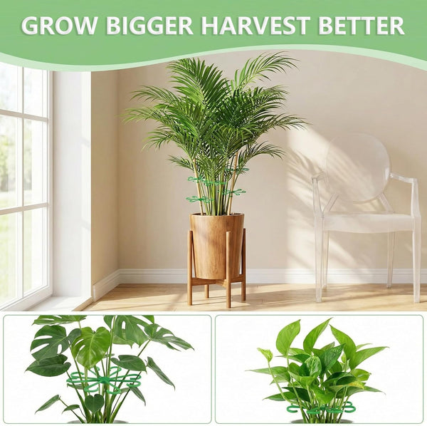 Opasyo 16PCS Plant Stem Support for Indoor Plants, Climbing Houseplant Stem Supports, 4 Sizes Reusable Clips for Monstera, Orchid & Pothos, Climbing Stem Holders (Green)