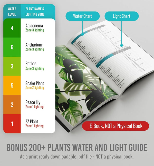GROWIT Plant Moisture Meter - Accurately Tells You When to Water Your Plants - No Battery Needed