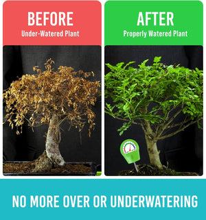 GROWIT Plant Moisture Meter - Accurately Tells You When to Water Your Plants - No Battery Needed