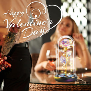 Otlonpe Preserved Forever Valentines Day Flower Gifts for Her, Glass Light Up Rose Gifts for Women Mom Grandma Girlfriend Wife Sister, Valentines Mothers Day Christmas Birthday Womens Gift (Colorful)