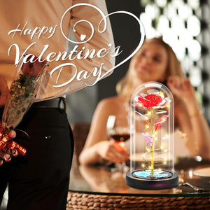 Otlonpe Preserved Forever Valentines Day Flower Gifts for Her, Glass Light Up Rose Gifts for Women Mom Grandma Girlfriend Wife Sister, Valentines Mothers Day Christmas Birthday Womens Gift (Red)