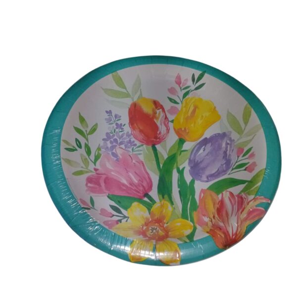 Plates 8- 22.2cm